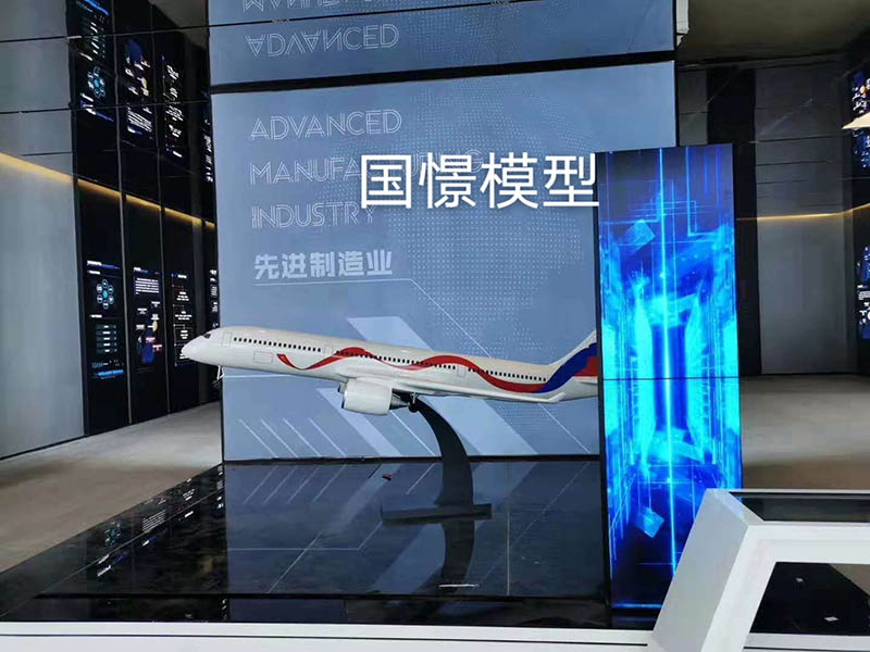 永靖县飞机模型